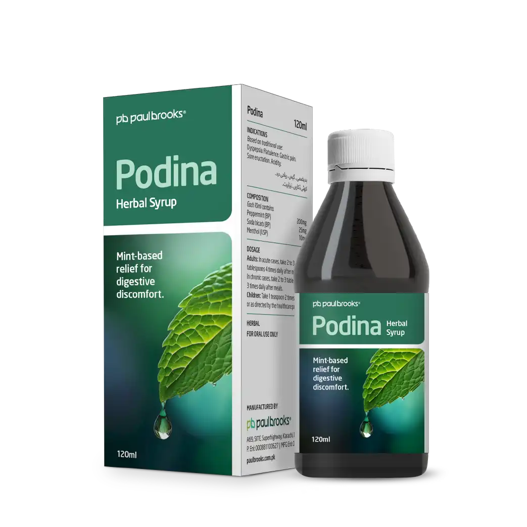 Podina Herbal Syrup Mint Based - Paul Brooks